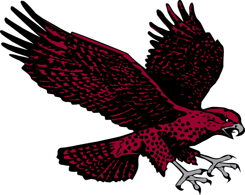 Maryland-Eastern Shore Hawks 2007-Pres Secondary Logo diy fabric transfer
